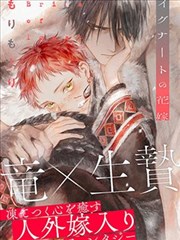 小说第九号档案室封面